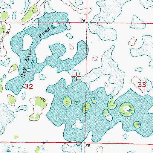 Topographic Map of New River Pond, FL