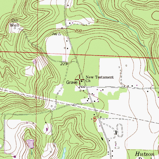 Topographic Map of New Testament Church, FL