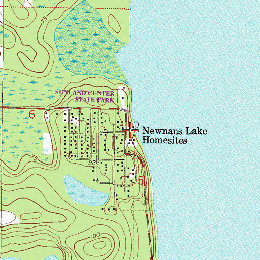 Topographic Map of Newnans Lake Homesites, FL