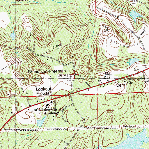 Topographic Map of Nicholson-Freeman Cemetery, FL
