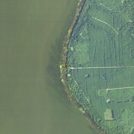 Aerial/Satellite Image of Ninemile Point, FL