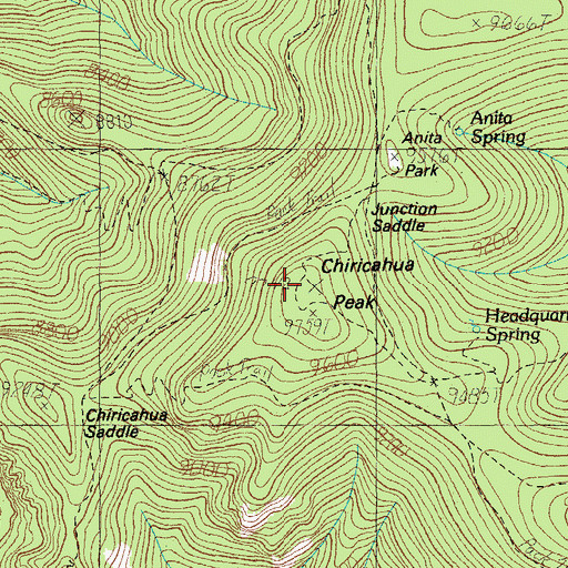 Topographic Map of Chiricahua Peak, AZ