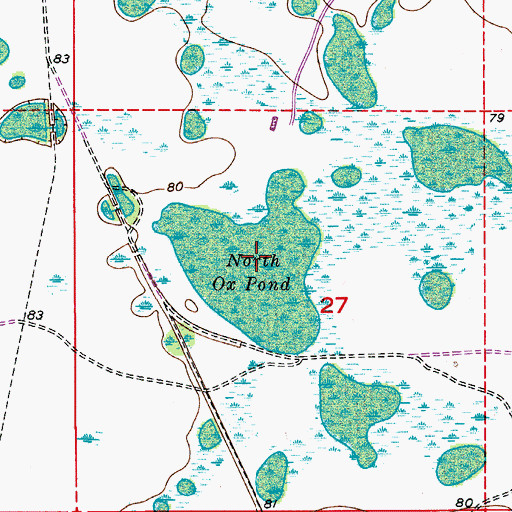 Topographic Map of North Ox Pond, FL