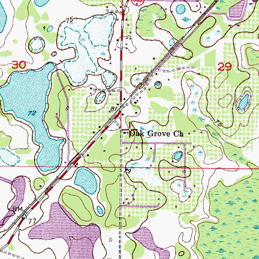 Topographic Map of Oak Grove Church, FL