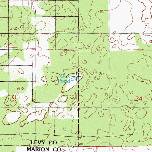 Topographic Map of Oak Pond, FL