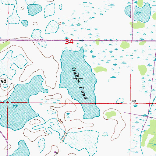Topographic Map of Oakes Pond, FL