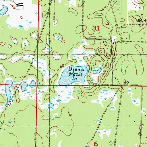 Topographic Map of Ocean Pond, FL