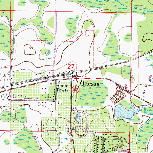 Topographic Map of Odessa, FL