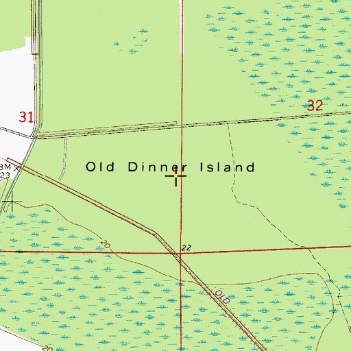 Topographic Map of Old Dinner Island, FL