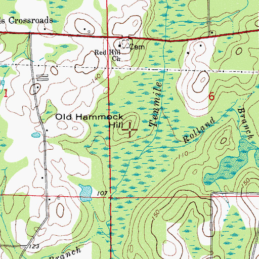 Topographic Map of Old Hammock Hill, FL