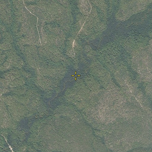 Aerial/Satellite Image of Old Peg Branch, FL