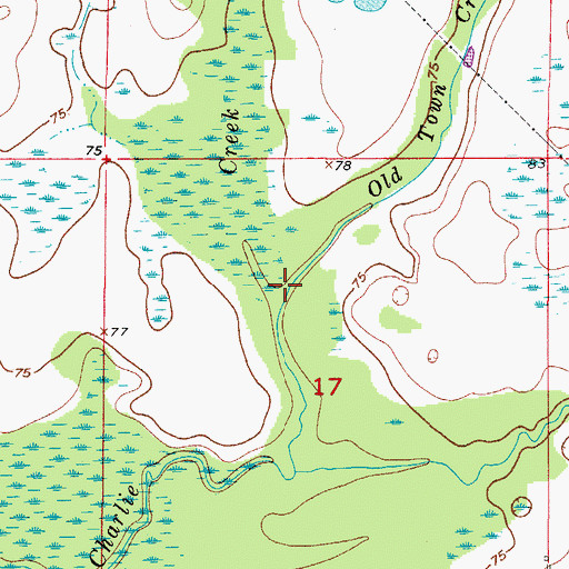 Topographic Map of Old Town Creek, FL