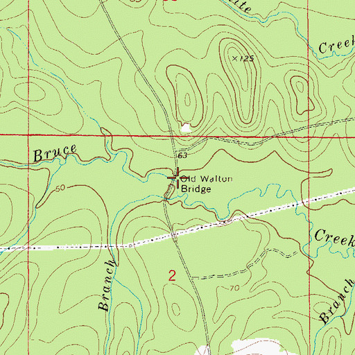 Topographic Map of Old Walton Bridge, FL