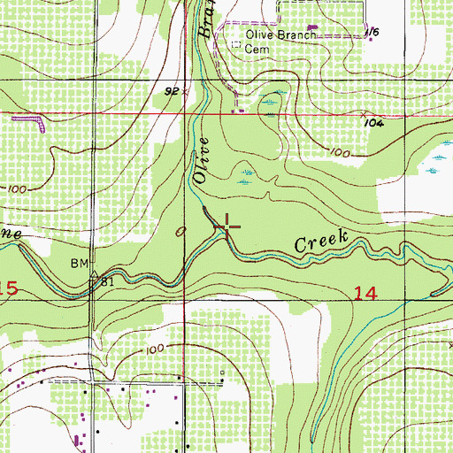 Topographic Map of Olive Branch, FL
