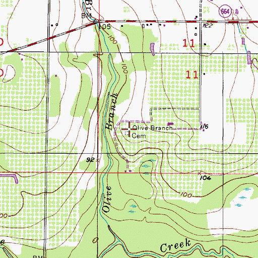 Topographic Map of Olive Branch Cemetery, FL