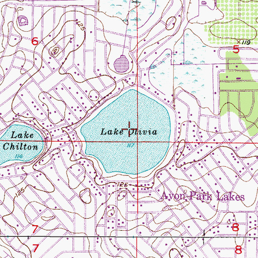 Topographic Map of Lake Olivia, FL