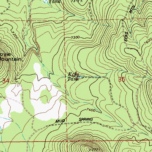 Topographic Map of Ecks Tank, AZ