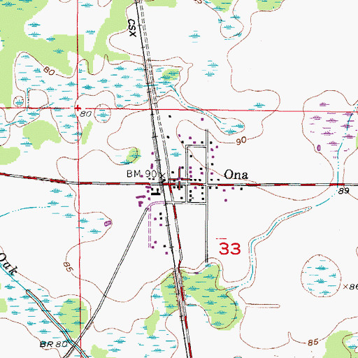 Topographic Map of Ona, FL