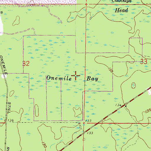 Topographic Map of Onemile Bay, FL