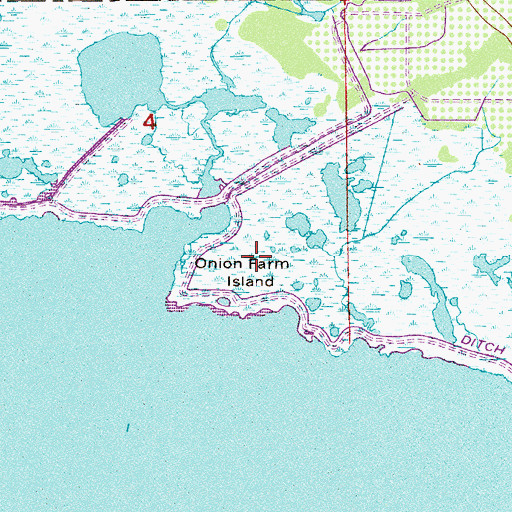Topographic Map of Onion Farm Island, FL