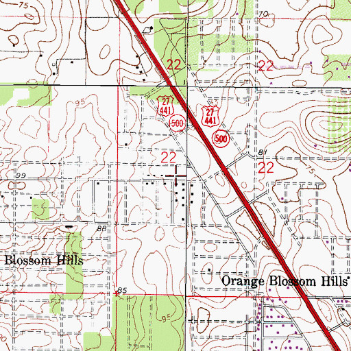 Topographic Map of Orange Blossom Hills, FL