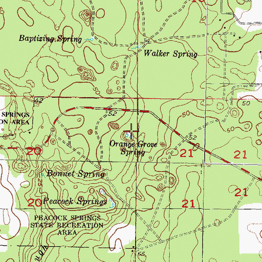 Topographic Map of Orange Grove Spring, FL