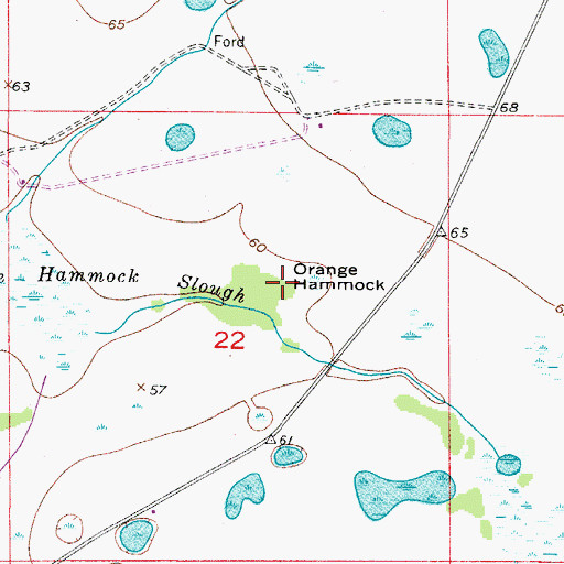 Topographic Map of Orange Hammock, FL