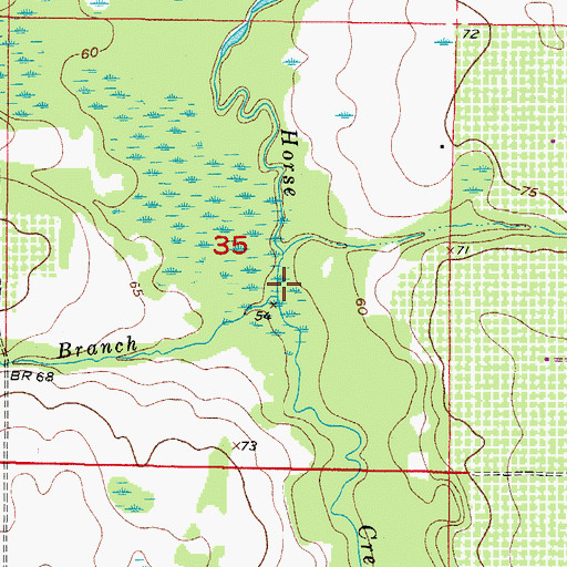 Topographic Map of Osborn Branch, FL