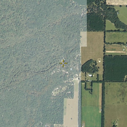 Aerial/Satellite Image of Otter Springs, FL