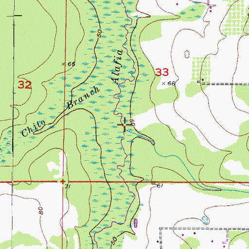 Topographic Map of Owens Branch, FL