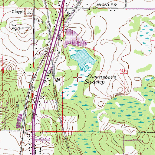 Topographic Map of Owensboro Swamp, FL