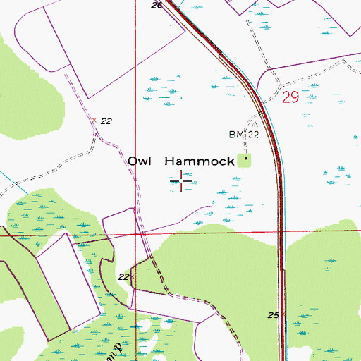 Topographic Map of Owl Hammock, FL