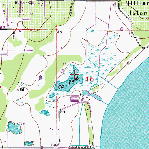 Topographic Map of Ox Pond, FL