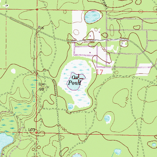 Topographic Map of Ox Pond, FL