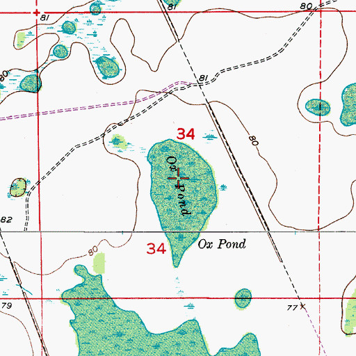 Topographic Map of Ox Pond, FL
