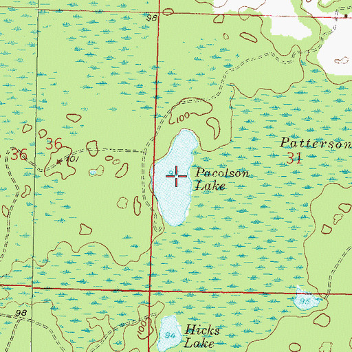 Topographic Map of Pacolson Lake, FL