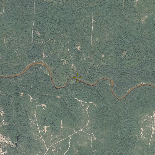 Aerial/Satellite Image of Painter Branch, FL