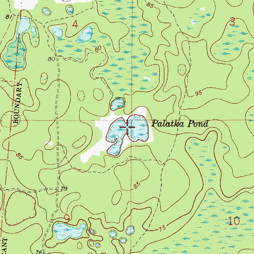 Topographic Map of Palatka Pond, FL