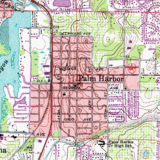 Topographic Map of Palm Harbor, FL