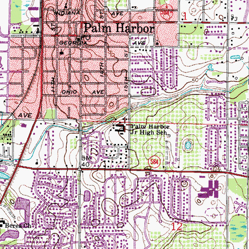 Topographic Map of Palm Harbor Junior High School, FL