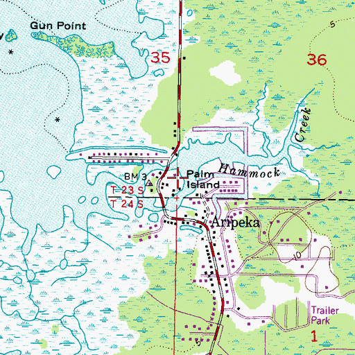 Topographic Map of Palm Island, FL