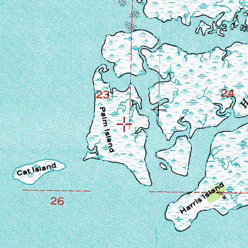 Topographic Map of Palm Island, FL
