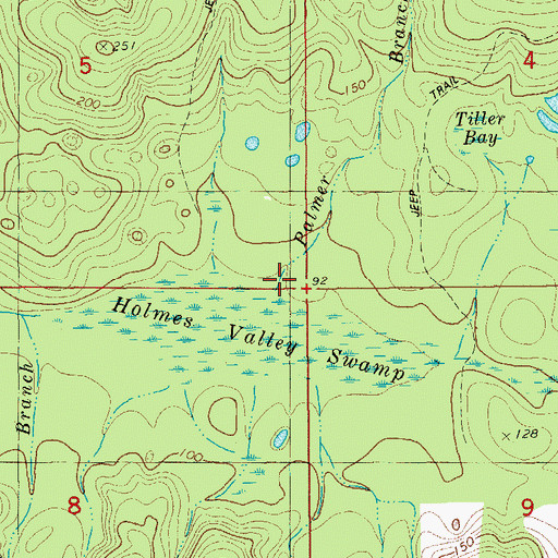 Topographic Map of Palmer Branch, FL