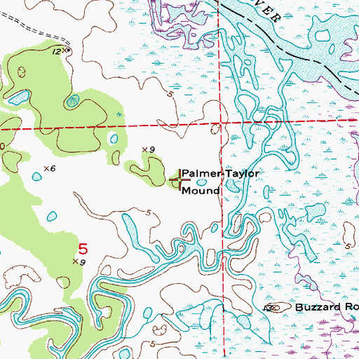 Topographic Map of Palmer-Taylor Mound, FL