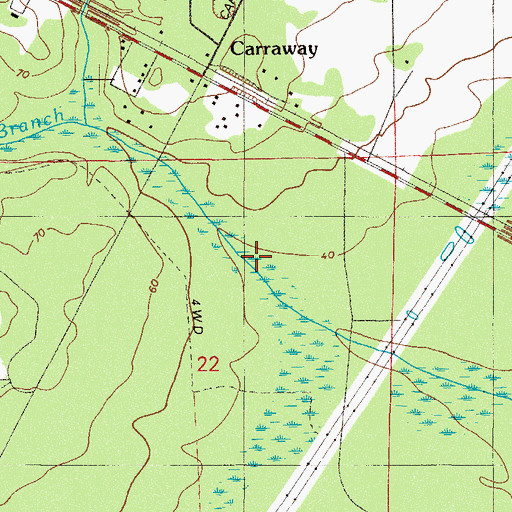 Topographic Map of Palmetto Branch, FL