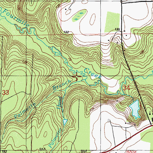 Topographic Map of Palmetto Branch, FL