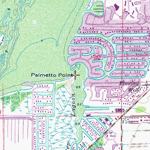 Topographic Map of Palmetto Point, FL