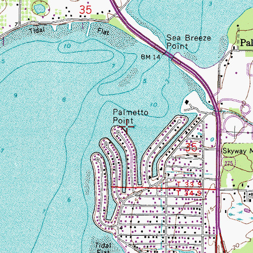 Topographic Map of Palmetto Point, FL
