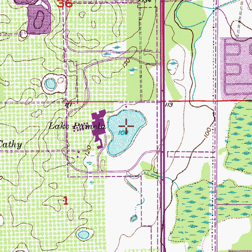 Topographic Map of Lake Pamela, FL