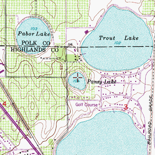 Topographic Map of Pansy Lake, FL